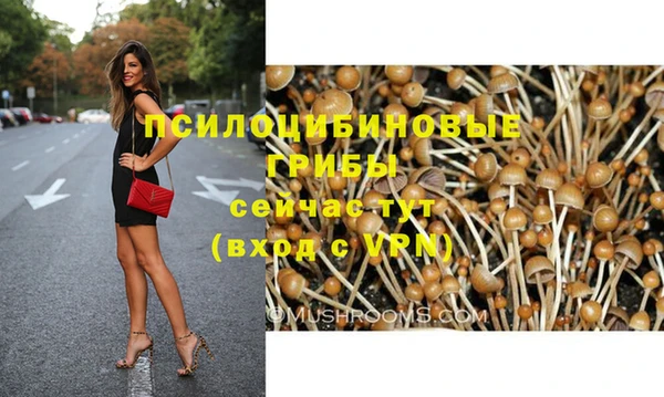 кокс Абдулино