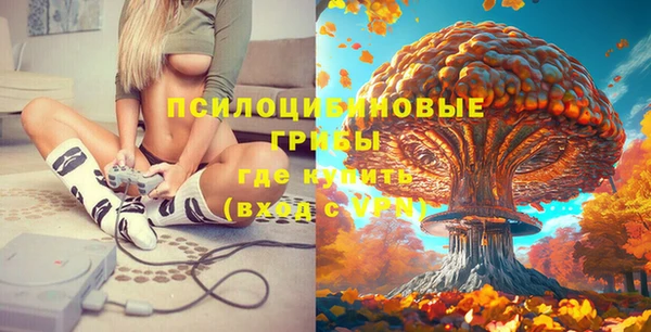 стаф Абинск