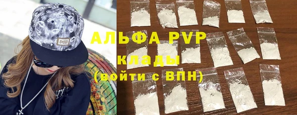 стаф Абинск