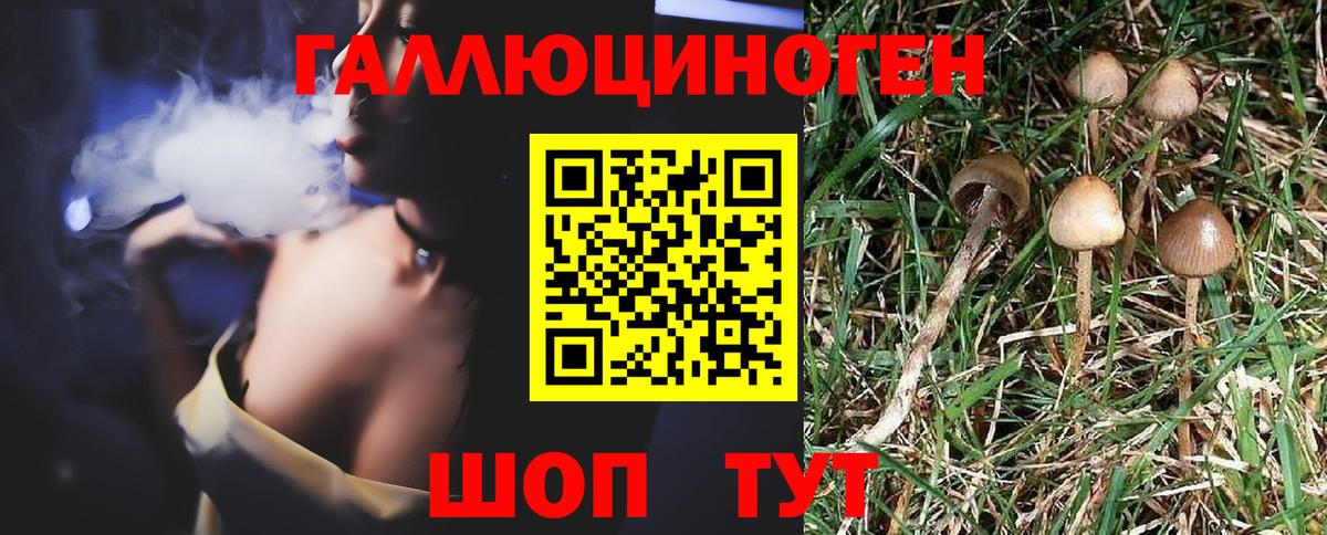 Галлюциногенные грибы GOLDEN TEACHER Химки